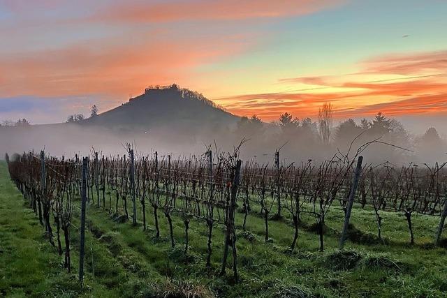 Burgblick auf die Staufener Burgruine