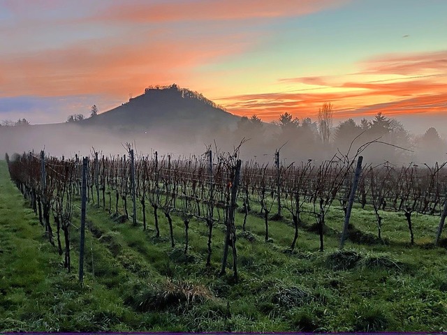 Die Staufener Burgruine.  | Foto: Winfried Sturm
