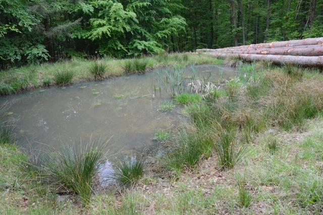 Beratung fr Landwirte: Stadt Ettenheim frdert Biotope im Offenland
