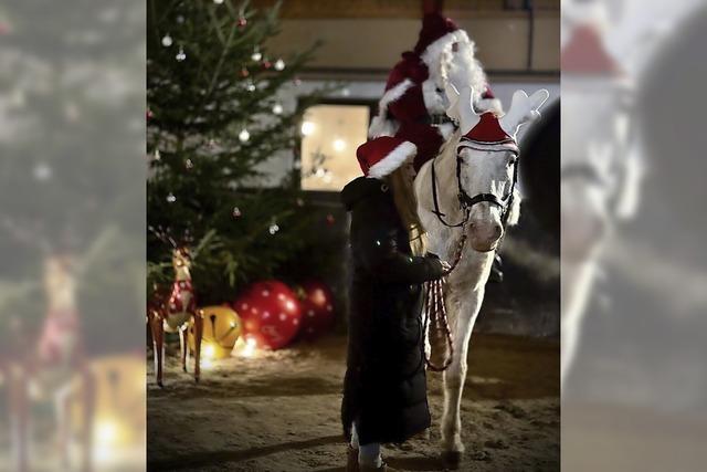 Wenn die Reithalle zum Weihnachtsmarkt wird...