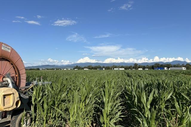 Erdwrme fr die Region: Heizwerk-Projekt bei Hartheim wird jetzt auf Zulssigkeit geprft