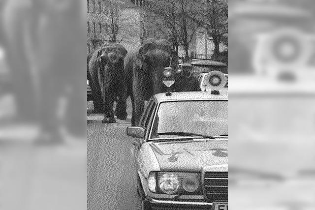 Ich erinnere mich gut und auch gerne an diese Tour