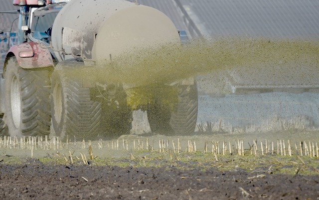 An einer Schw&auml;bisch Gm&uuml;nder ... ist G&uuml;lle gelandet. (Symbolbild)  | Foto: Carsten Rehder/dpa