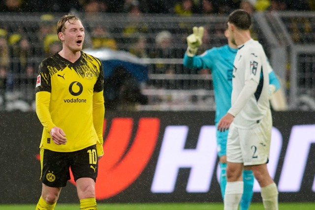 BVB-Profi Julian Brandt war von der Ar...eges gegen Hoffenheim wenig begeistert  | Foto: Bernd Thissen/dpa