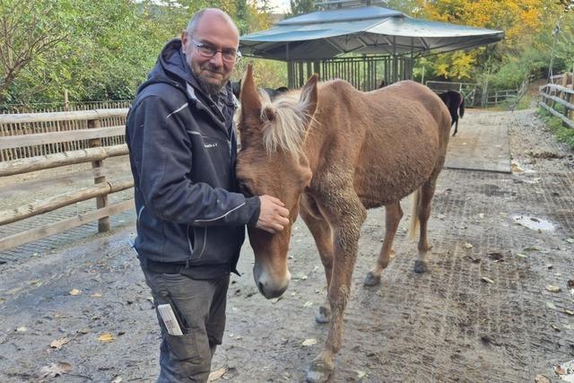 Der Gnadenhof in Dattingen ist ein Ort der Geborgenheit