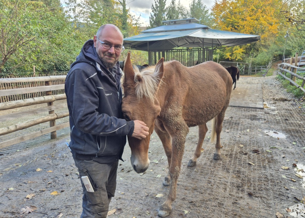 Patrick Ohme leitet mit seiner Frau Rebecca Benz den „Gnadenhfle Donkey Palace“ in Mllheim-Dattingen.