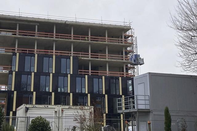 Die Volksbank wchst und wchst