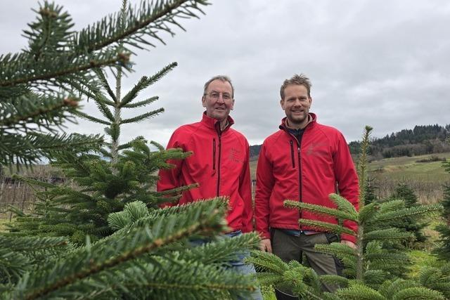 Familie Koger veranstaltet ihre Weihnachtsbaumtradition und ein Fest mit Nachbarn im Herzen Laufens