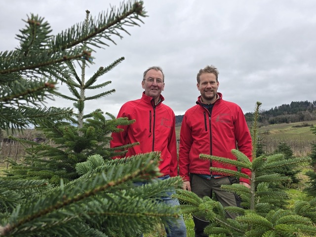 Karl-Frieder und Jannik Koger zwischen... Weihnachtsbäumen oberhalb von Laufen. | Foto: Simone Höhl Karl-Frieder und Jannik Koger zwischen... Weihnachtsbäumen oberhalb von Laufen. | Foto: Simone Höhl