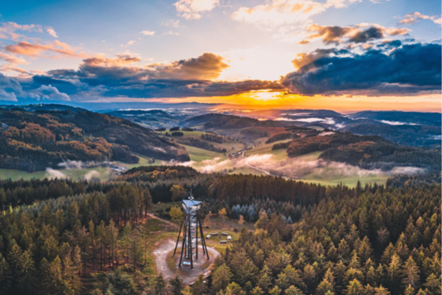 Aussichtsturm am H�nersedel bei Freiamt soll neu aufgebaut werden
