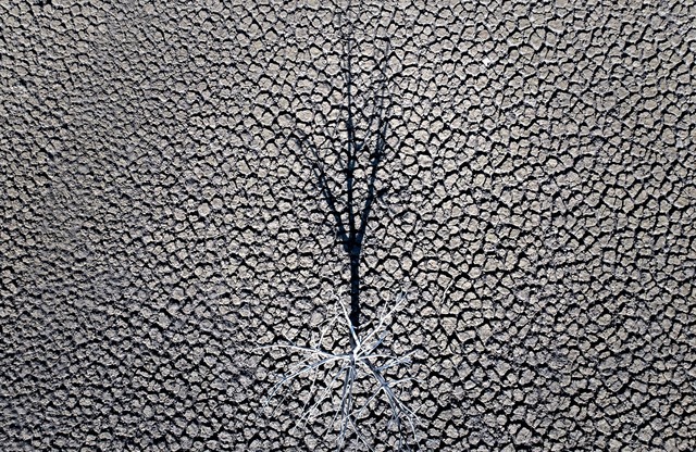 Klimazertifikate aus Drittl&auml;ndern...sionen verrechnet werden. (Symbolbild)  | Foto: Emilio Morenatti/AP/dpa