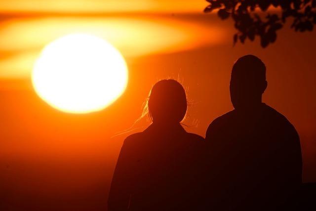 Suger-Vergleich: Der Mensch ist eine monogame Art