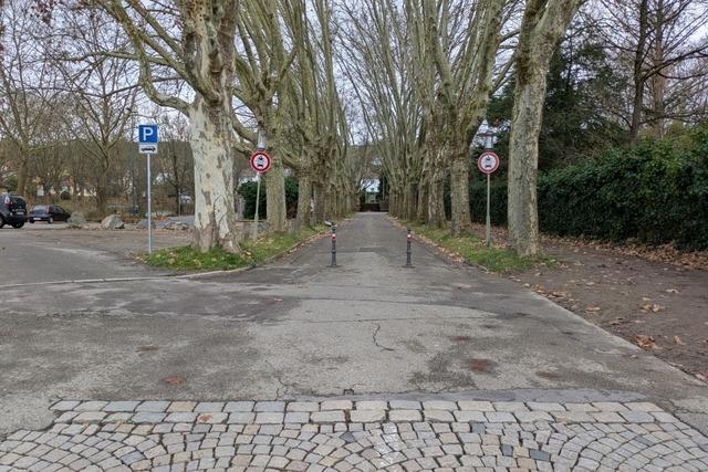 Mehr Platz fr Fugnger und Radler: Die Allee am Lahrer Parktheater ist jetzt autofrei