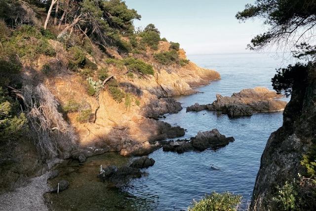 Lesetipp im Advent:  "Madame le Commissaire und der verschwundene Englnder" von Pierre Martin