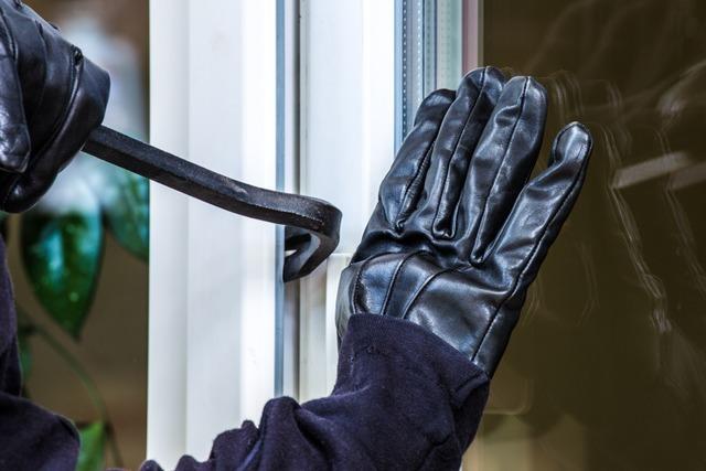 Polizei ertappt mutmalichen Einbrecher in Offenburger Garten