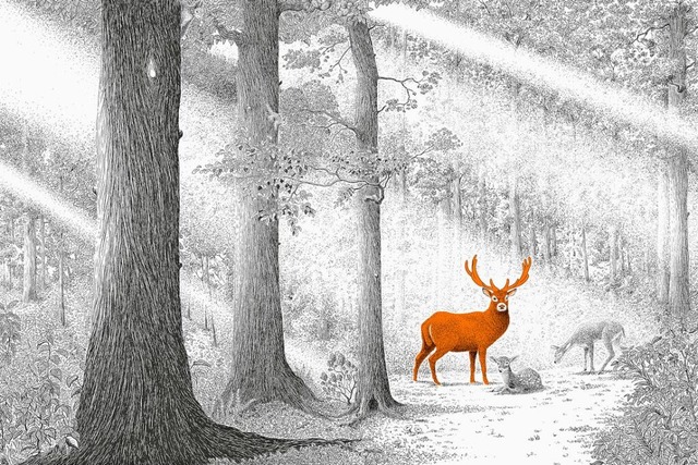 Eichhrnchen?  | Foto: Verlag freies Geistesleben