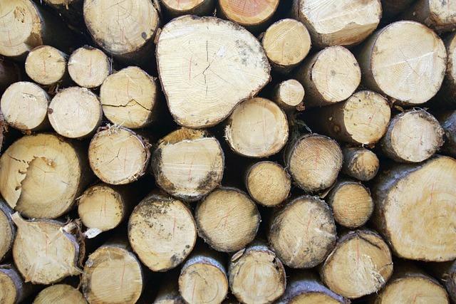 Schnau profitiert von guten Holzpreisen