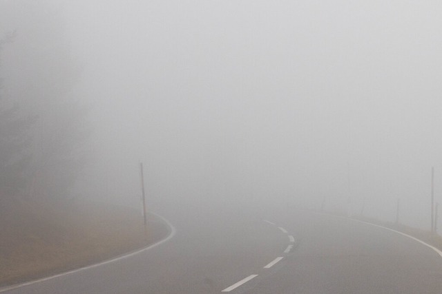 Im dichten Nebel hat ein Auto ein Verkehrsschild umgefahren (Symbolbild).  | Foto: Philipp von Ditfurth (dpa)