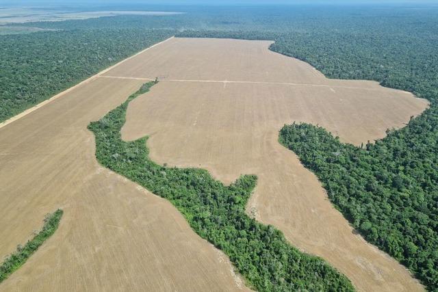 Heimische Wirtschaft atmet auf: EU-Verordnung wird abgeschwcht und verschoben