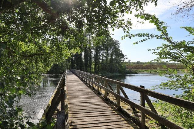 Elzsteg bei Wittenweier knnte fr neuen Rundweg saniert werden