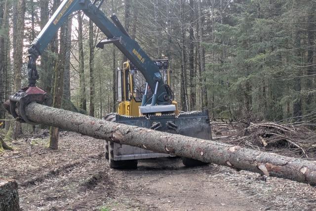 Frhnd erzielt ein dickes Plus dank nachhaltiger Wirtschaftsstrategie