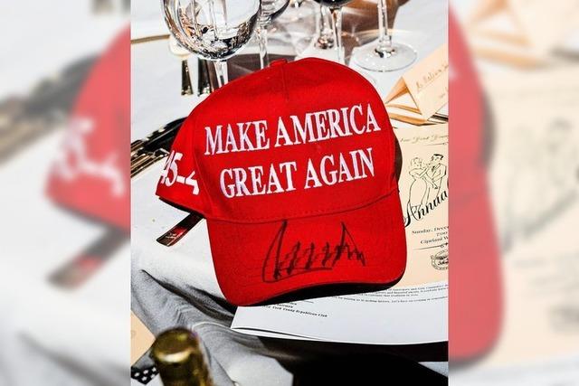 AfD festigt die Achse nach Washington