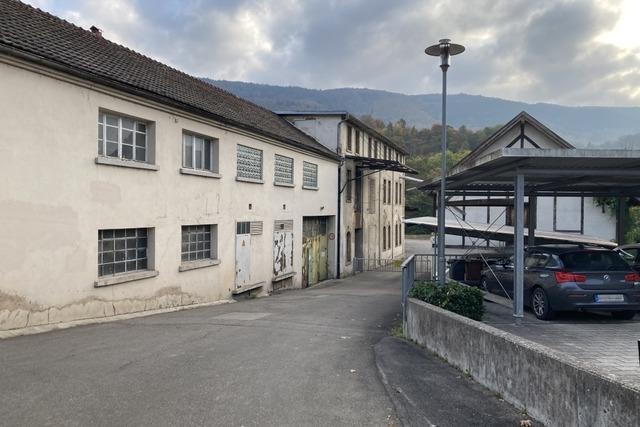 Wie sieht das Wehr der Zukunft aus?