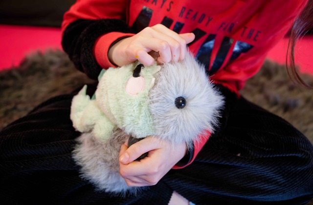 Im "Elektronischen Streichelzoo" im ZK...te Roboter-Meerschweinchen streicheln.  | Foto: Uwe Anspach/dpa
