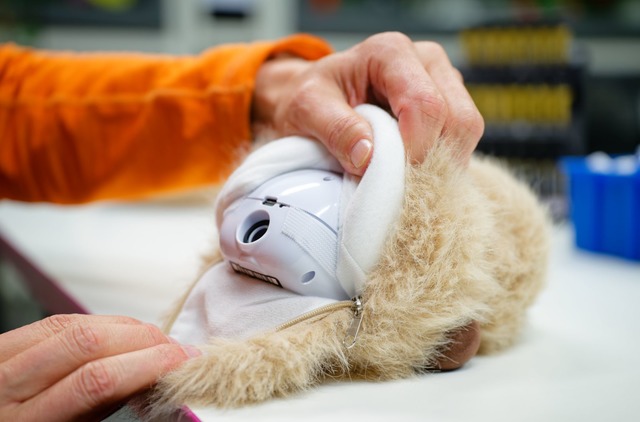Zieht man den "Booboos" das Fell ab, wird das technische Innenleben sichtbar.  | Foto: Uwe Anspach/dpa