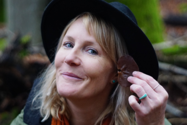 Speisepilze gibt's auch im Winter. Und sie sind besser zu erkennen als im Herbst