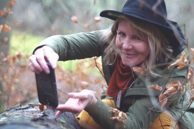 Speisepilze gibt's auch im Winter. Und sie sind besser zu erkennen als im Herbst