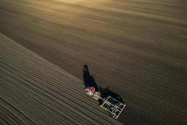 Bauern besorgt: Kosten steigen, Preise fallen