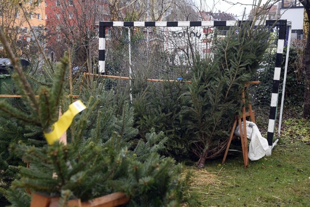 Weihnachtsbaumverkauf in Freiburg  | Foto: Thomas Kunz 