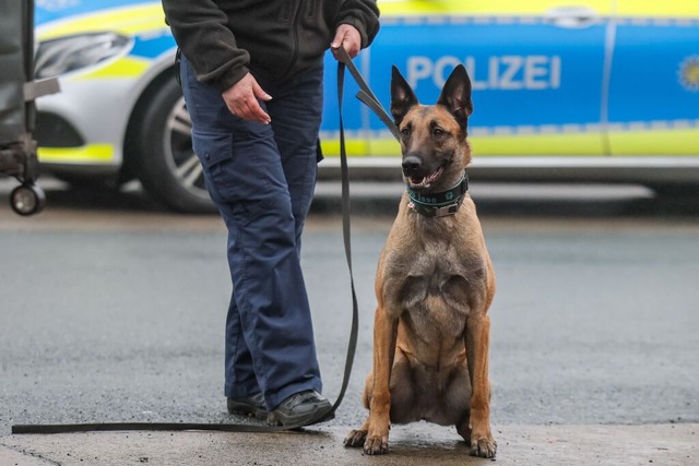 Der Mann habe sich der Polizeistreife ...ensthund gebissen worden. (Symbolbild)  | Foto: Jan Woitas (dpa)
