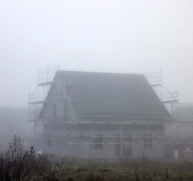 Ein Einfamilienhaus entsteht.  | Foto: Jan Woitas (dpa)