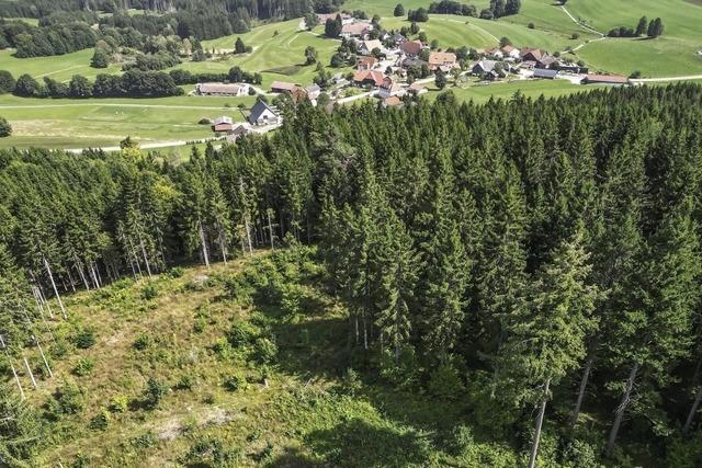 Eigenbetriebe schreiben schwarze Zahlen