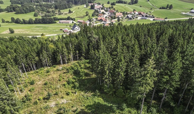 Am Staufenkopf soll der neue Hochbehlter erbaut werden.   | Foto: Wilfried Dieckmann