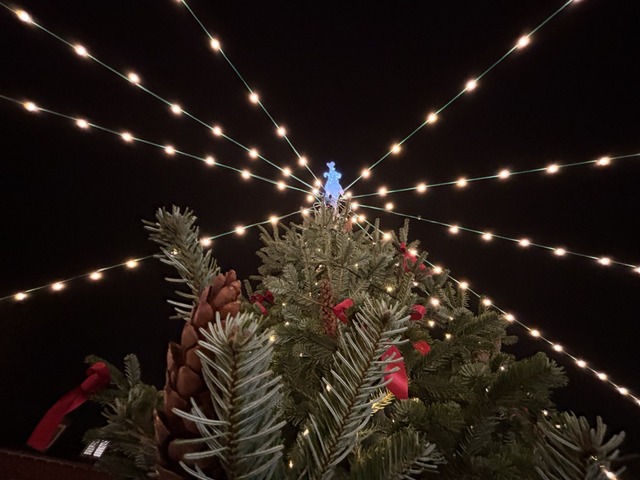 | Foto: Frank Schoch | Foto: Frank Schoch