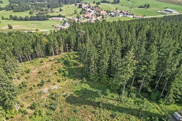 Grafenhausens Eigenbetriebe schreiben schwarze Zahlen