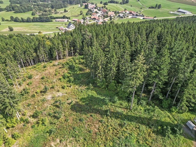 Hochbehlter Staufenturm  | Foto: Wilfried Dieckmann