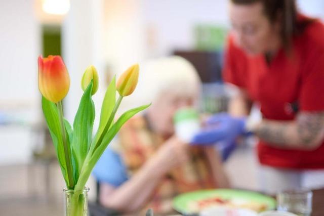 Die Vorschlge fr eine Pflegereform sind blamabel