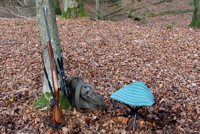 Blauenjagd im Forstbezirk Hochrhein: Wie Bewegungsjagden Schwarzwild kontrollieren
