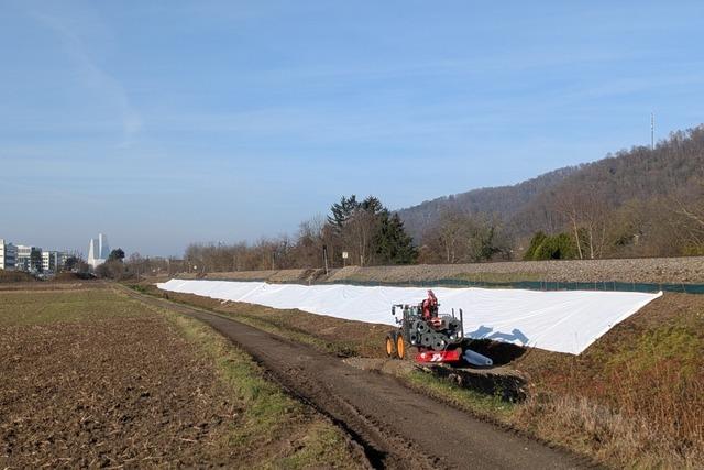 Dachse behindern Weiterbau der Bundesstrae 34 neu bei Grenzach