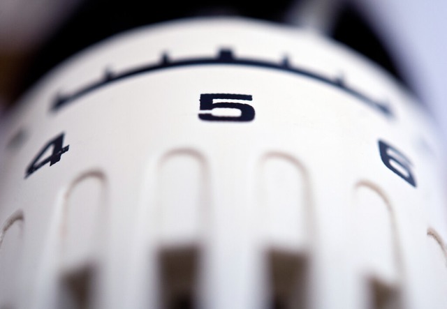 Jetzt im Winter ist es selbstverstndl...rgen. Aber die Wrme kostet auch Geld.  | Foto: Andrea Warnecke (dpa)