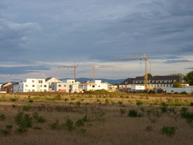 Im geplanten Quartier Vogesenstrae II...rgrund: das Baugebiet Vogesenstrae II  | Foto: Dirk Sattelberger