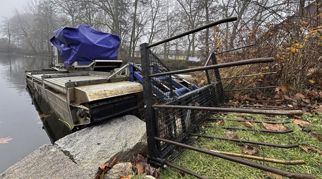   | Foto: Frank Schoch