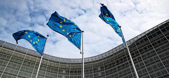 Gegenwind fr EU-Kommission: Die Grne...em ungarischen l- und Gaskonzern MOL.  | Foto: Marcel Kusch/dpa