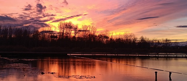   | Foto: Rita Hermann