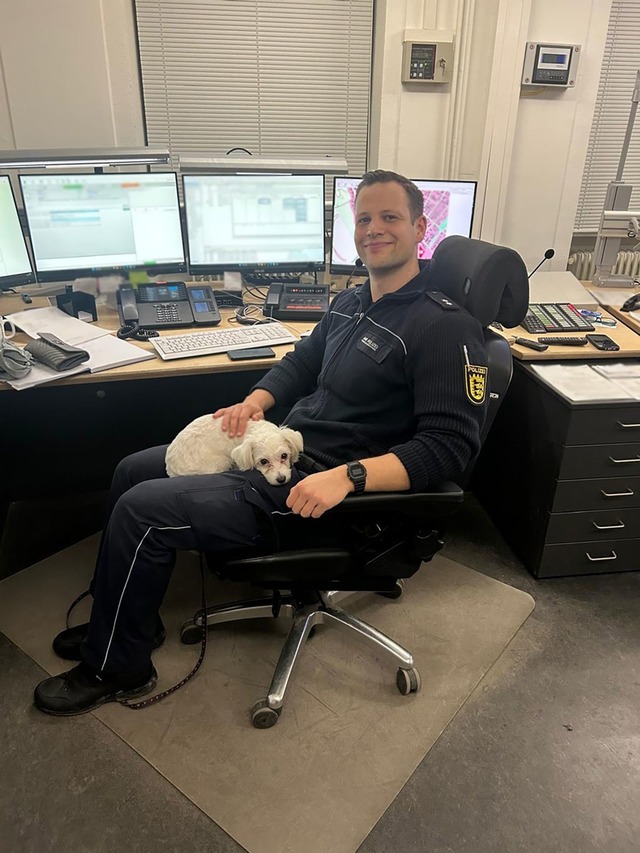 Der Halter der H&uuml;ndin konnte bisher nicht ermittelt werden.  | Foto: Polizeipr&auml;sidium Offenburg/dpa