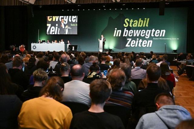 Fokus auf Wirtschaft - Grne wollen Wahlprogramm beschlieen